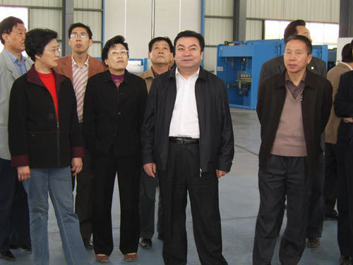 马鞍山市政协副主席陈大娜等来我公司参观考察